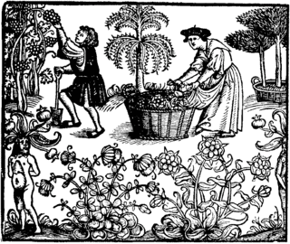 a plate picture showing people picking grapes in the form of a wood print.
