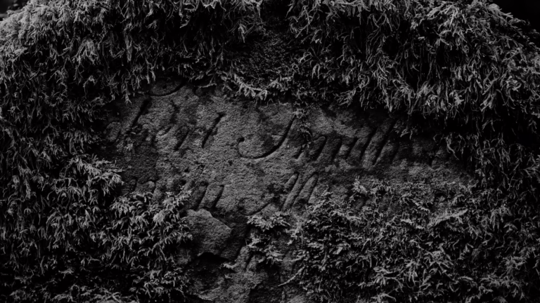 a mossy gravestone - Cailleachs Herbarium