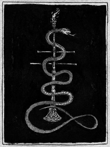 Snake by Bryan Proteau
