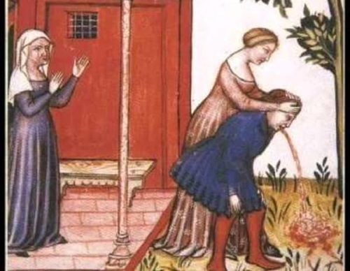 Even in Medieval times folks puked their brains out ... herbal hangover cure