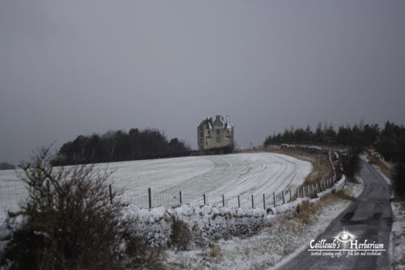 Fa side castle from the road Scotland February