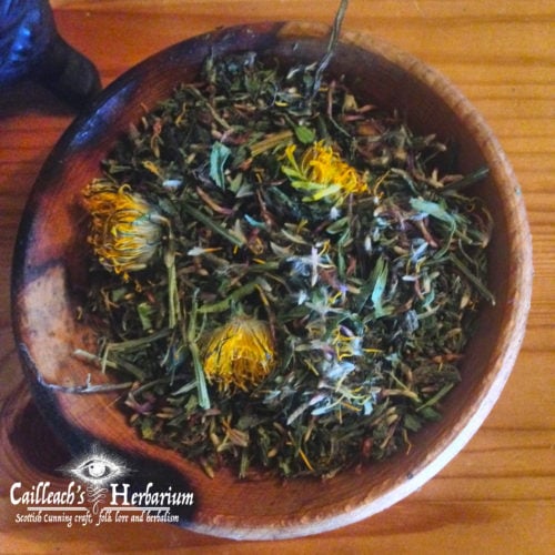 Herbal spring tonic tea Cailleachs herbarium