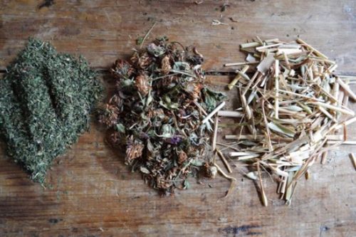 Nourishing herbs for infusions