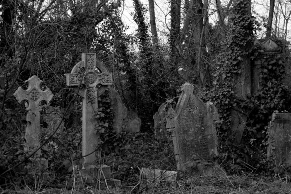 A graveyard of our ancestors