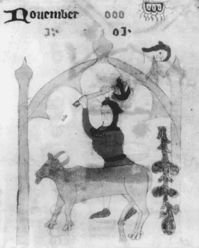 Martinmas bull slaughter,c.1370. From he Bodleian Library MS.