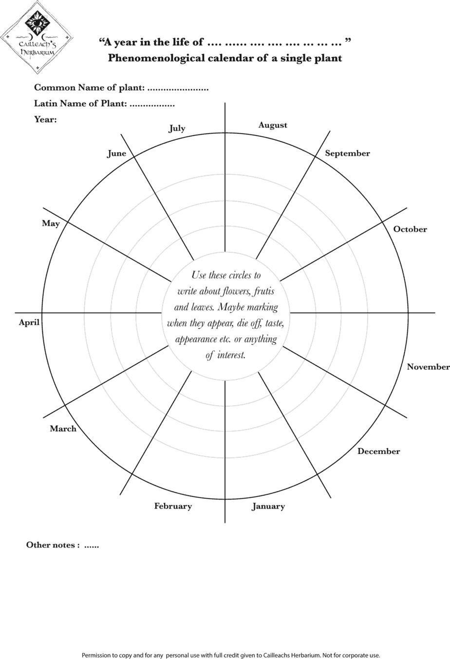 Plant Communication 