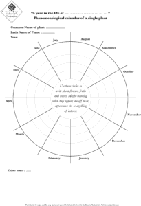 Plant Communication | Terroir | Phenomenology | Animism