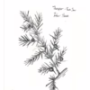 Tales of the Taibhsear Folk Magic Chapbook