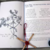 Tales of the Taibhsear Bundle - CD &  Limited Edition Chapbook