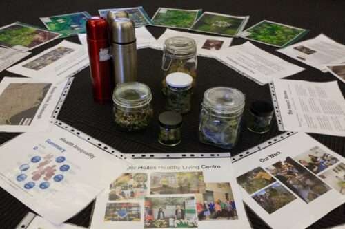 a selection of herbs in different jars surround by information from herbal practitioners from Grass roots remedies