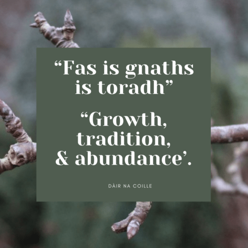 Dàir na coille fas is gnaths is toradh - growth tradition abundance white text on a grey green square with a fruiting branch in the background