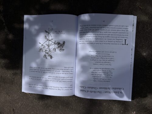 Tales of the taibhser 2025 contents