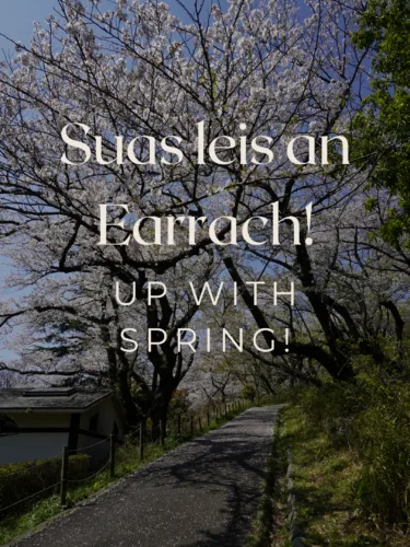 spring time in scotland and no windds 